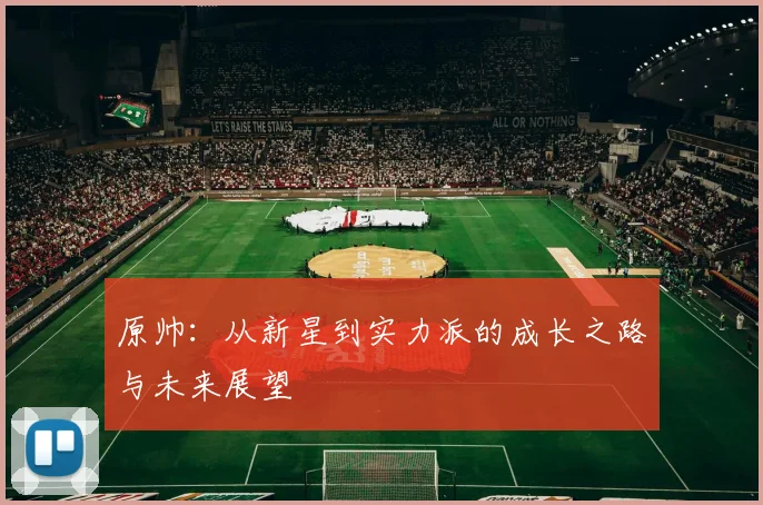 原帅：从新星到实力派的成长之路与未来展望