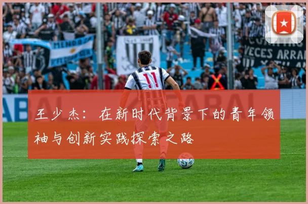 王少杰：在新时代背景下的青年领袖与创新实践探索之路