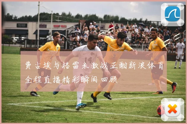 费古埃与格雷米激战正酣新浪体育全程直播精彩瞬间回顾