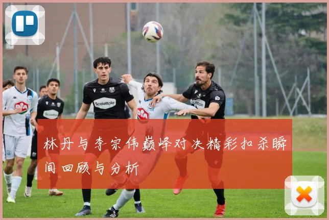 林丹与李宗伟巅峰对决精彩扣杀瞬间回顾与分析