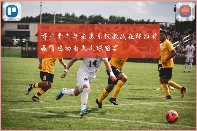 博卡青年与老虎竞技激战在即谁将赢得这场南美足球盛宴