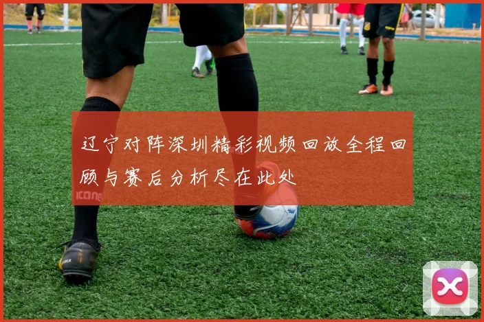 辽宁对阵深圳精彩视频回放全程回顾与赛后分析尽在此处