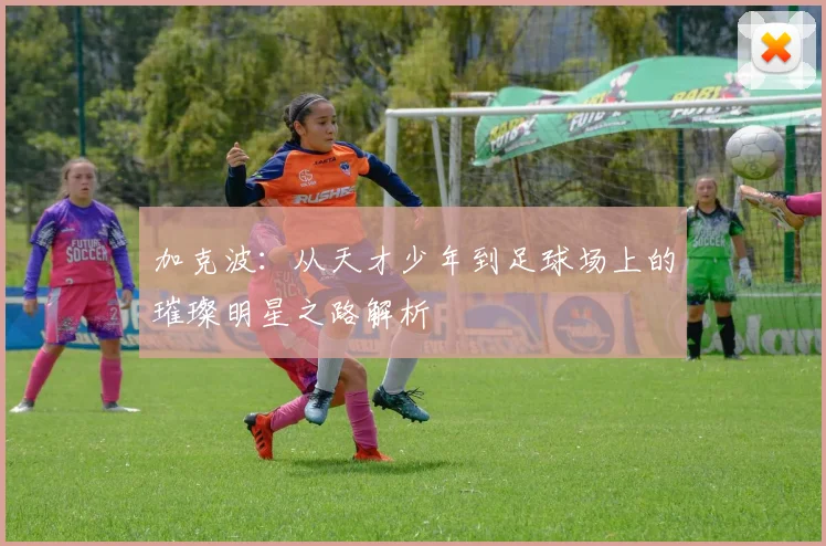 加克波：从天才少年到足球场上的璀璨明星之路解析