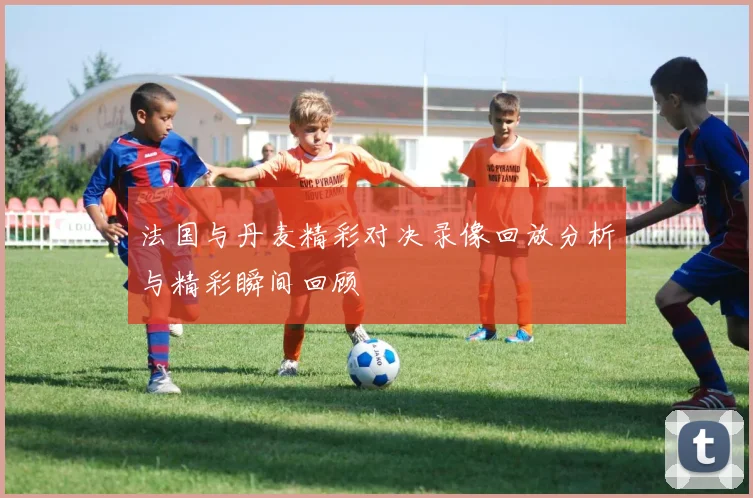法国与丹麦精彩对决录像回放分析与精彩瞬间回顾