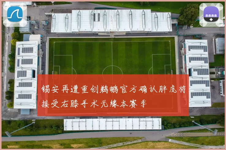 锡安再遭重创鹈鹕官方确认胖虎将接受右膝手术无缘本赛季