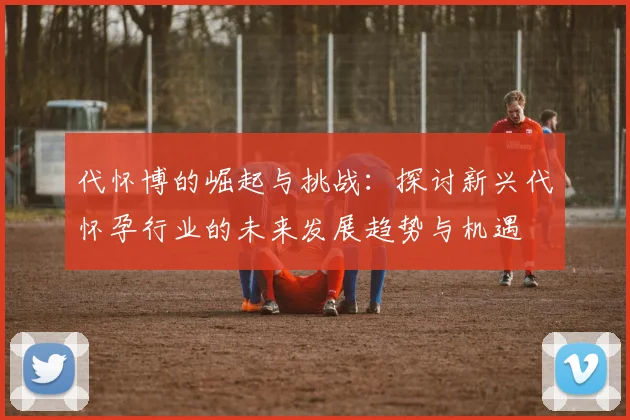 代怀博的崛起与挑战：探讨新兴代怀孕行业的未来发展趋势与机遇