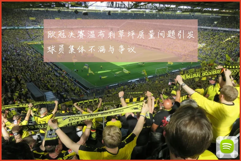 欧冠决赛温布利草坪质量问题引发球员集体不满与争议