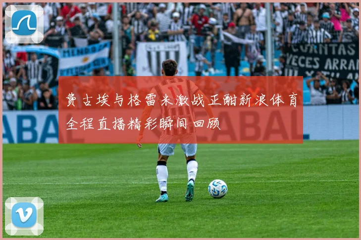 费古埃与格雷米激战正酣新浪体育全程直播精彩瞬间回顾